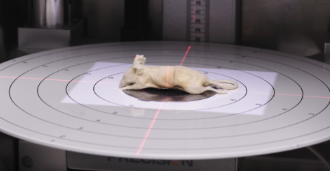 targeted irradiation with the Precision X-Ray, Inc. dynamic collimator.