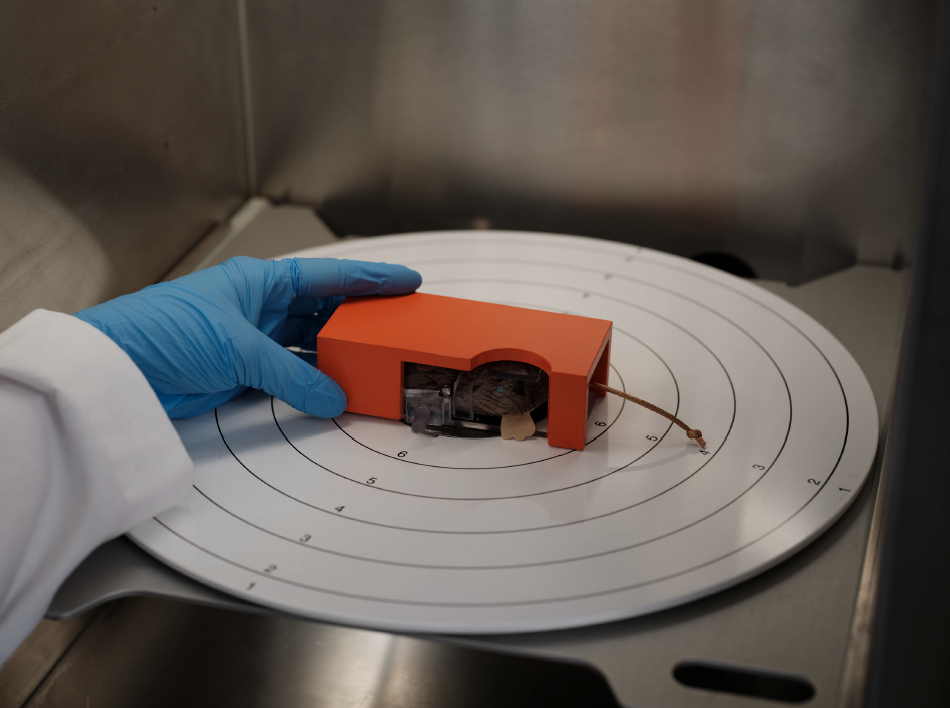 MultiRad internal turntable