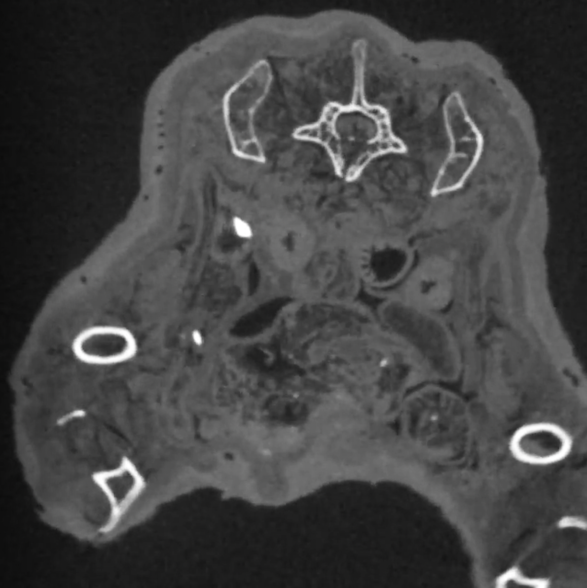 MicroCT imaging capabilities on the SmART+